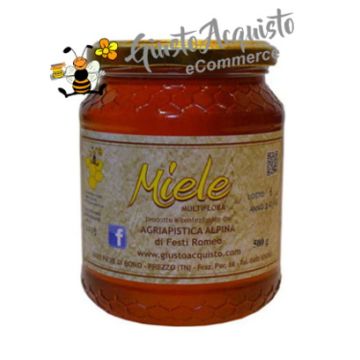 Miele Millefiori Primaverile 500gr